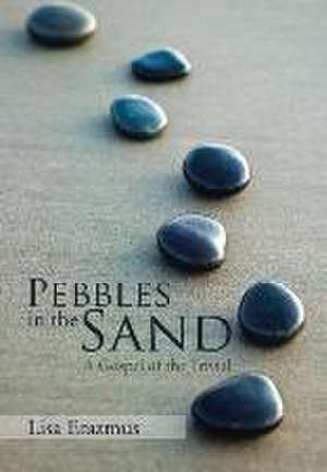 Pebbles in the Sand de Lisa Erazmus