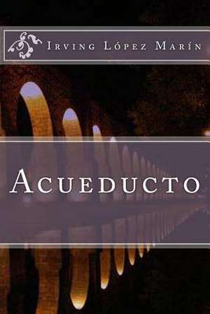 Acueducto de Irving Edmundo Lopez Marin