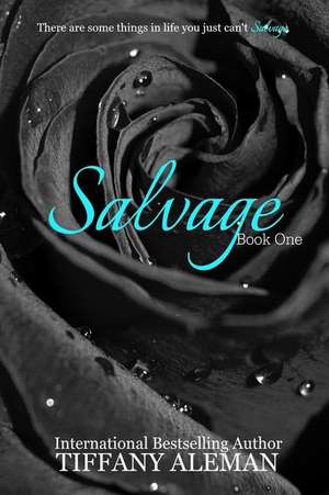 Salvage Book One de Tiffany Aleman