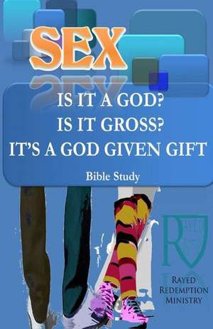 Sex; Is It a God? Is It Gross? It Is a Gift from God de Ptr David J. Barberis