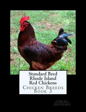 Standard Bred Rhode Island Red Chickens de D. E. Hale