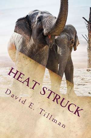 Heat Struck de David E. Tillman