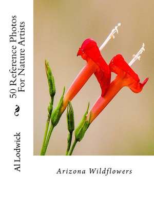 Arizona Wildflowers de Al Lodwick