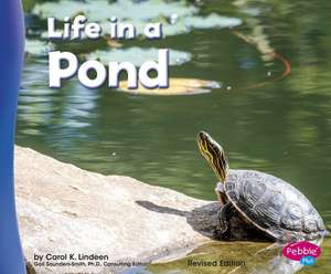 Life in a Pond de Carol K. Lindeen