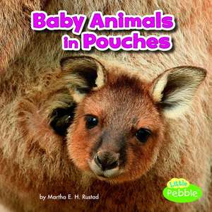 Baby Animals in Pouches de Martha E. Rustad