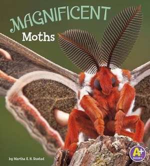 Magnificent Moths de Martha E. Rustad