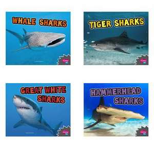 All about Sharks de Deborah Nuzzolo