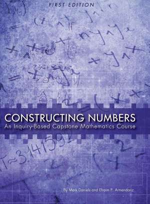 Constructing Numbers de Mark Daniels