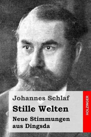 Stille Welten de Johannes Schlaf