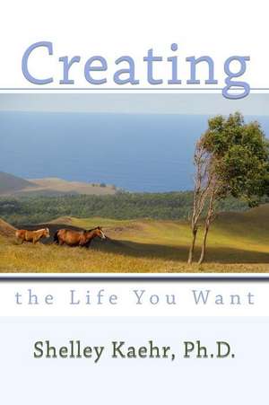 Creating the Life You Want de Shelley Kaehr