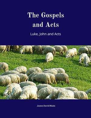 The Gospels and Acts de James David Malm