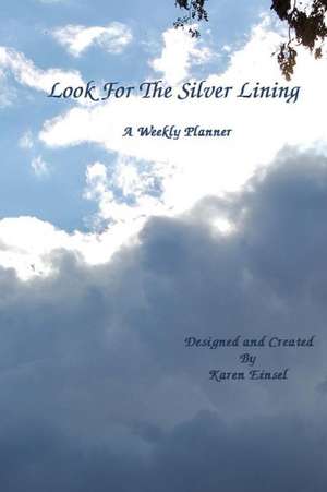 Look for the Silver Lining de Karen Einsel