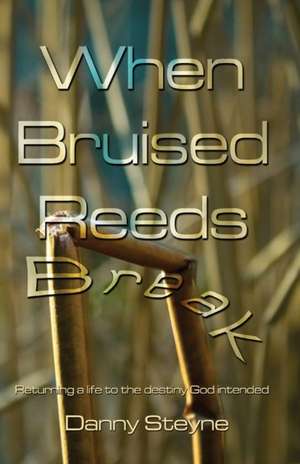 When Bruised Reeds Break: Returning a Life to the Destiny God Intended de Danny Steyne