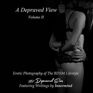 A Depraved View Volume II de MR Michael D. Smith