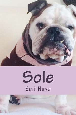 Sole de Emi Nava