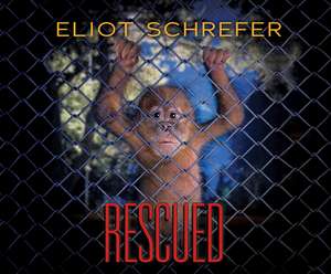 Rescued de Graham Halstead