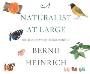 A Naturalist at Large: The Best Essays of Bernd Heinrich de Bernd Heinrich