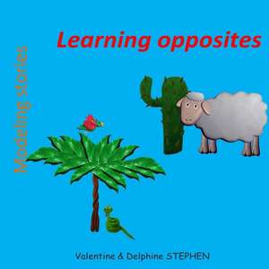 Learning Opposites de Valentine Stephen