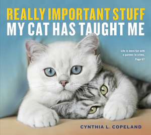 Really Important Stuff My Cat Has Taught Me de Cynthia L. Copeland