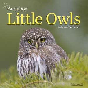 Audubon Little Owls Mini Wall Calendar 2025 de National Audubon Society