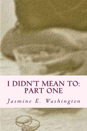 I Didn't Mean to de Jasmine E. Washington