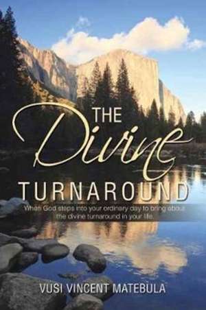 The Divine Turnaround de Vusi Vincent Matebula