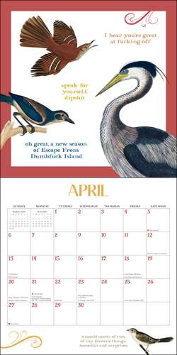 Effin' Birds 2025 Wall Calendar de Aaron Reynolds