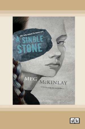 A Single Stone (Dyslexic Edition) de Meg Mckinlay
