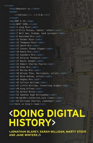 Doing Digital History de Martin Steer