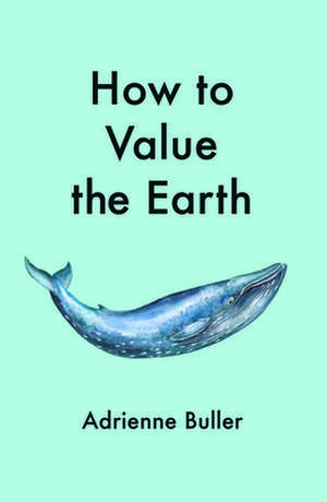 How to Value the Earth de Adrienne Buller