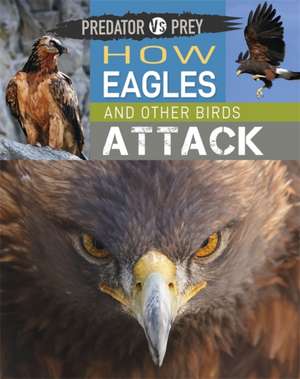 Predator vs Prey: How Eagles and other Birds Attack de Tim Harris