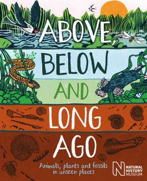 Above, Below and Long Ago de Michael Bright