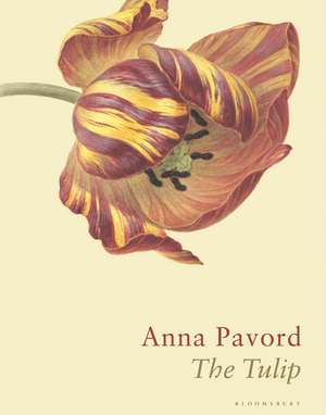 The Tulip: The Story of a Flower That Has Made Men Mad de Anna Pavord