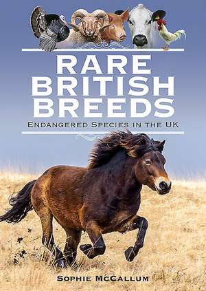 McCallum, S: Rare British Breeds de Sophie McCallum