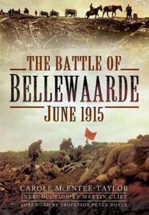 The Battle of Bellewaarde, June 1915 de Carole Mcentee-Taylor