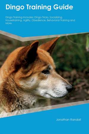 Dingo Training Guide Dingo Training Includes de Ian Walker