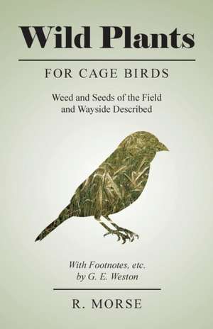 Wild Plants for Cage Birds - Weed and Seeds of the Field and Wayside Described - With Footnotes, etc., by G. E. Weston de R. Morse