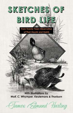 Sketches of Bird Life - From Twenty Years Observation of Their Haunts and Habits - With Illustrations by Wolf, C. Whymper, Keulemans, and Thorburn de James Edmund Harting