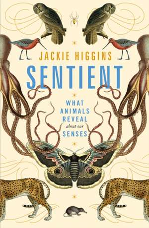 Higgins, J: Sentient de Jackie Higgins