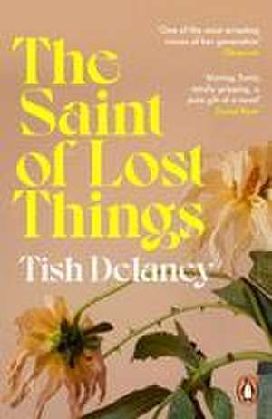 The Saint of Lost Things de Tish Delaney