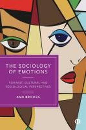 The Sociology of Emotions – Feminist, Cultural and Sociological Perspectives de Ann Brooks