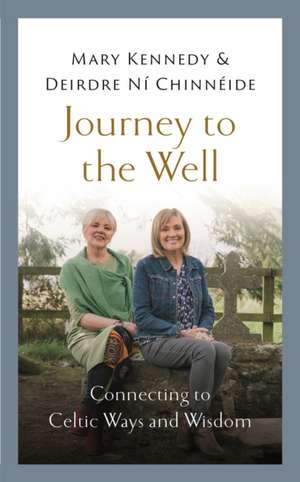 Journey to the Well de Deirdre Ni Chinneide