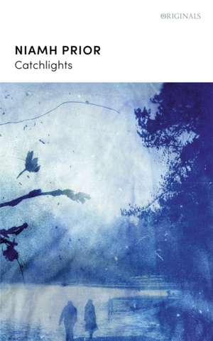 Prior, N: Catchlights de Niamh Prior