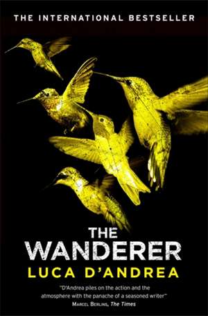 The Wanderer de Luca D'Andrea