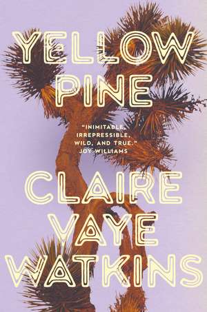 Yellow Pine: 'Watkins writes like an avenging angel' Jenny Offill de Claire Vaye Watkins
