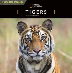 Tigers National Geographic Square Wall Calendar 2021