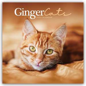 Ginger Cats - Rothaarige Katzen 2025 - Wand-Kalender de Carousel Calendar