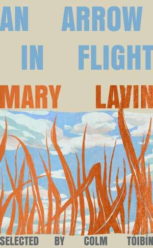 An Arrow in Flight de Mary Lavin