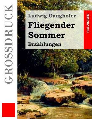 Fliegender Sommer (Grossdruck) de Ludwig Ganghofer