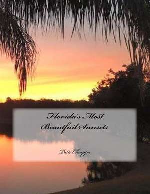 Florida's Most Beautfuil Sunsets de Patti Chiappa